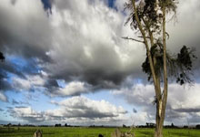 拿MVP也没有说服力!女篮一姐地位已被取代,不旅外只能继续堕落.