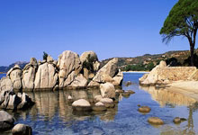 [德甲]第21轮：柏林联合1-0沃尔夫斯堡 集锦.